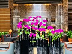 -天津君隆威斯汀酒店