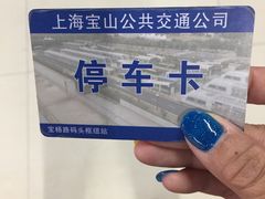 -吴淞口国际邮轮码头-停车场