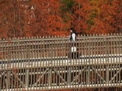 -福道