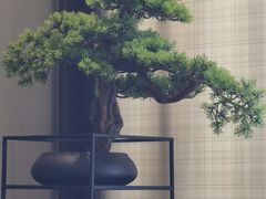 -常州九洲环宇大酒店(常州火车站店)