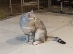 -平行世界·猫咖(首经贸店)
