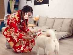 -柴迷FANS CLUB·柴犬狗咖·猫咖