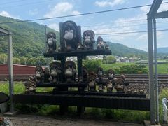 -岚山嵯峨野观光小火车