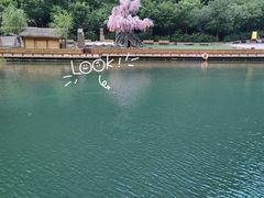 -河南宝泉旅游区