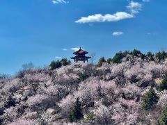 -白水寺森林公园