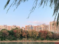 -新江湾城公园