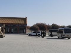 -金塔沙漠胡杨林景区