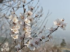 -北京鹫峰国家森林公园