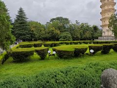 -崇圣寺三塔文化旅游区