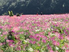 -广州市石门国家森林公园
