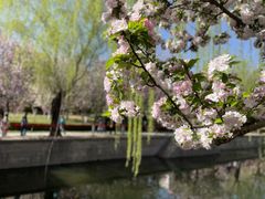 -海棠花溪(元大都城垣遗址公园)