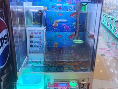 -汤姆熊欢乐世界(滨江店)