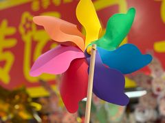 -越秀西湖花市(广州城市广场花卉店)