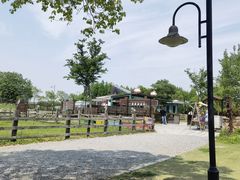 -田园东方蜜桃村的田野营地