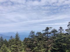 -峨眉山风景名胜区