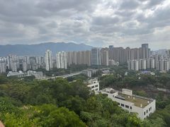 -金鸡山公园