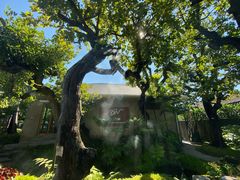 -Chom Cafe and Restaurant