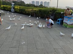 -山海广场