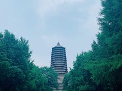 -玲珑塔公园