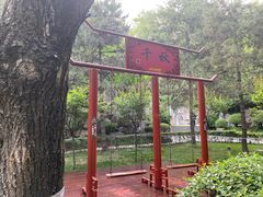 -西安曲江寒窑遗址公园