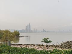 -深圳湾公园(南山区)