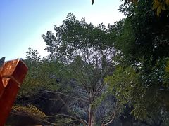 -明月山天沐温泉度假村