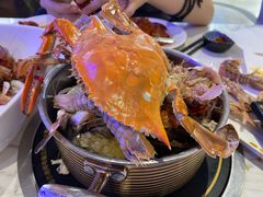 -半岛听涛蒸汽海鲜自助(K11店)