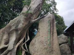 -虞山风景区