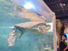 -西海国立公园九十九岛水族馆