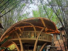 -勐丽梦兰傣味餐厅