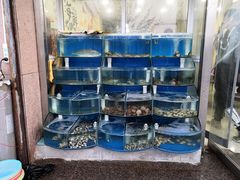 水产区-海之味海鲜大咖·家常菜