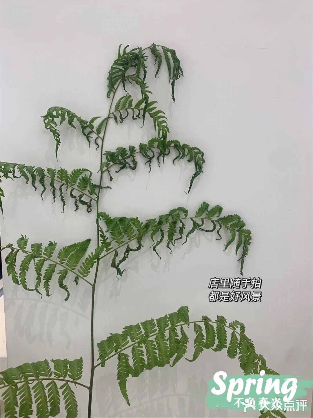 魔都探店 | 好拍又好逛的美术馆服装店