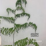 魔都探店 | 好拍又好逛的美术馆服装店