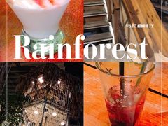 -Rainforest