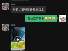 -伟伟宠物医院·CT影像中心·瑞派犬猫综合性门诊(汉口总院)