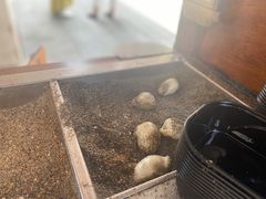 -叶氏麻糍(鼓浪屿店)