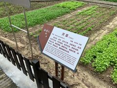 -张闻天故居