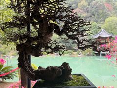 -云溪植物园