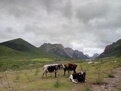 -莲宝叶则景区