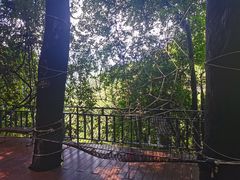 -大余丫山旅游度假区