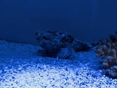 -上海海洋水族馆