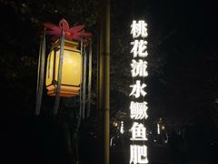 -长田漾湿地公园