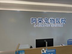 -阿荣24H宠物医院·综合型转诊中心·CT·核磁影像中心