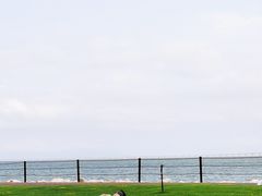 -野狸岛