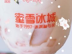 -蜜雪冰城(托乐嘉店)