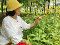 -黑龙江省森林植物园