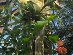 -华南国家植物园-售票处