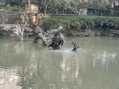 -汇龙潭