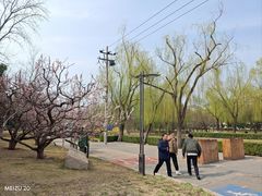 -元大都城垣遗址公园