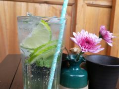 柠檬薄荷苏打水-瑭风赏阁